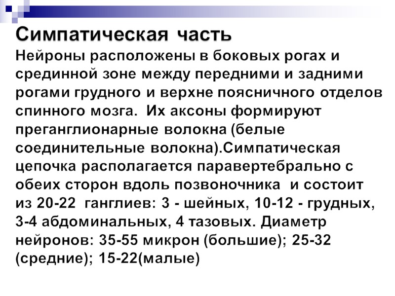 Симпатическая часть  Нейроны расположены в боковых рогах и срединной зоне между передними и